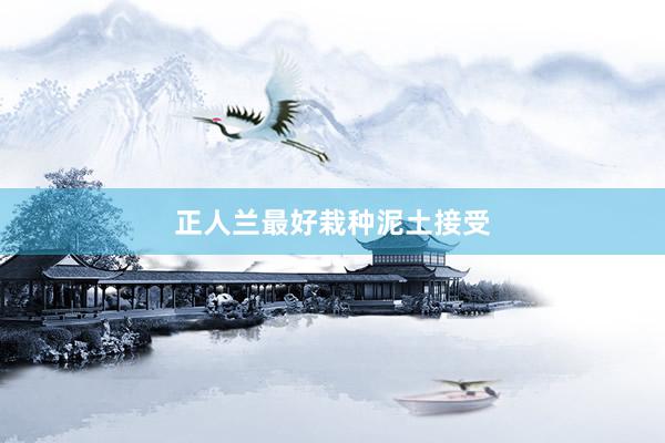 正人兰最好栽种泥土接受