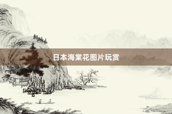 日本海棠花图片玩赏